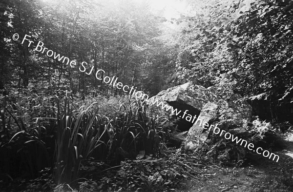 HOWTH CASTLE AIDEEN'S GRAVE